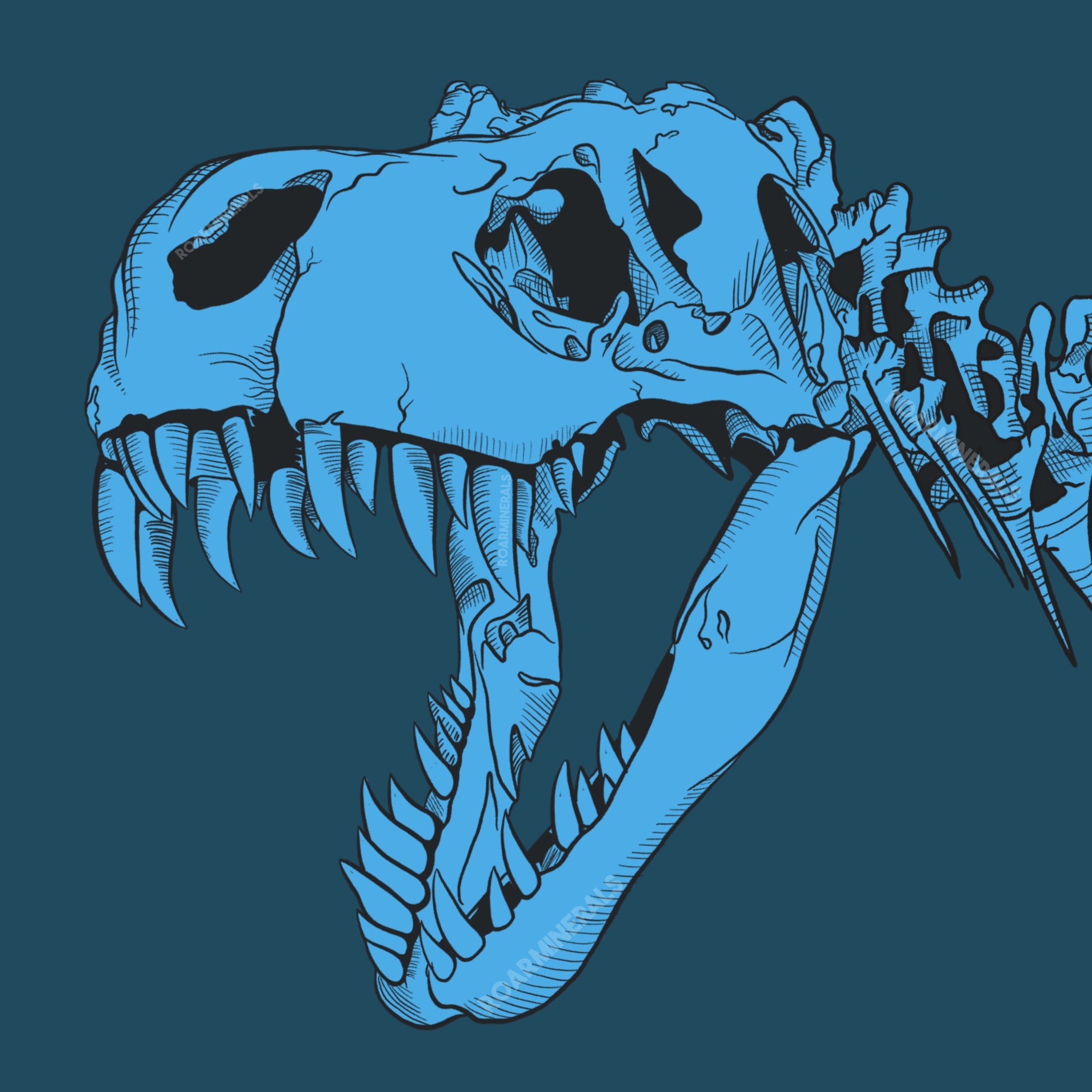 Dinosaur Bones