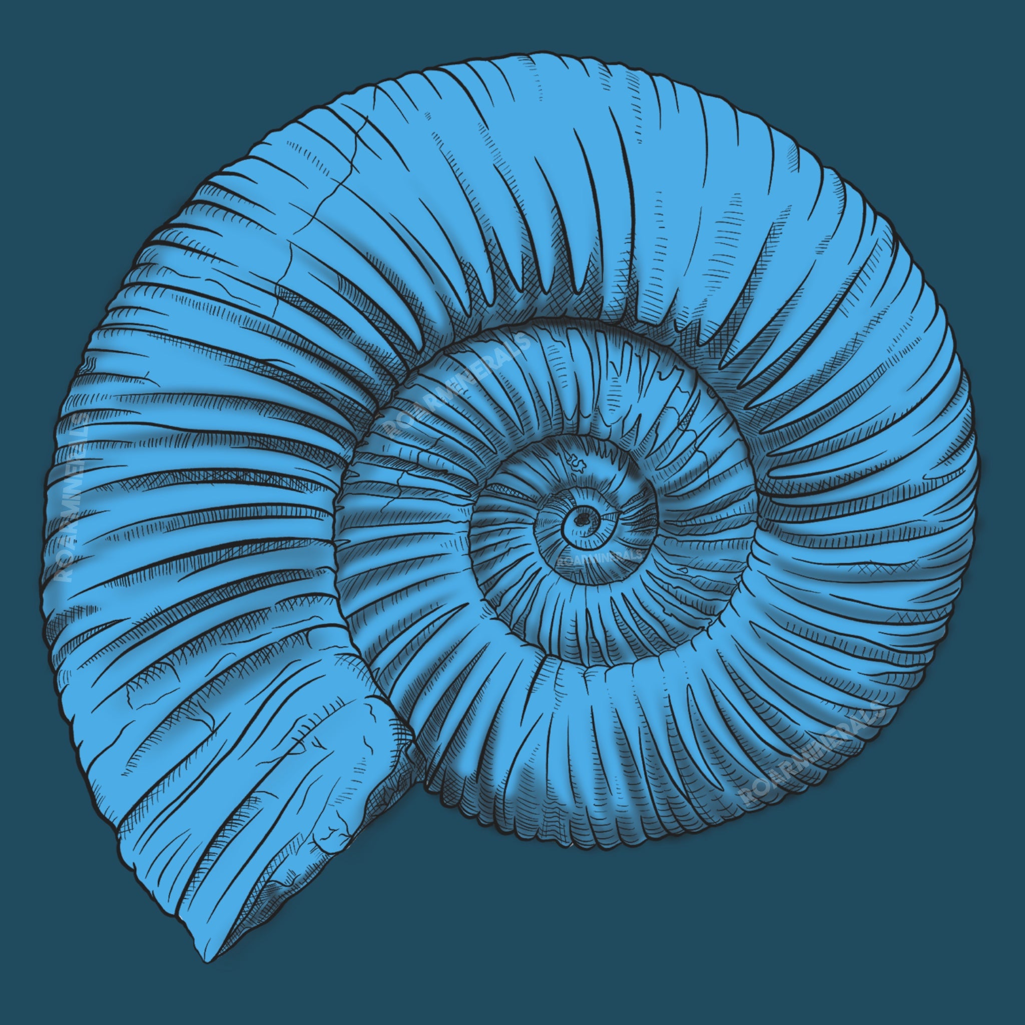Fossils