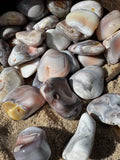 Pink Agate Tumblestone