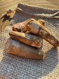 Small Spinosaurus SP. Tooth