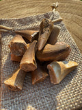 Mosasaurus Tooth